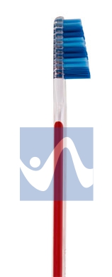 Tau Marin Linea Scalare 33 Testina Grande Spazzolino Denti Setole Morbide